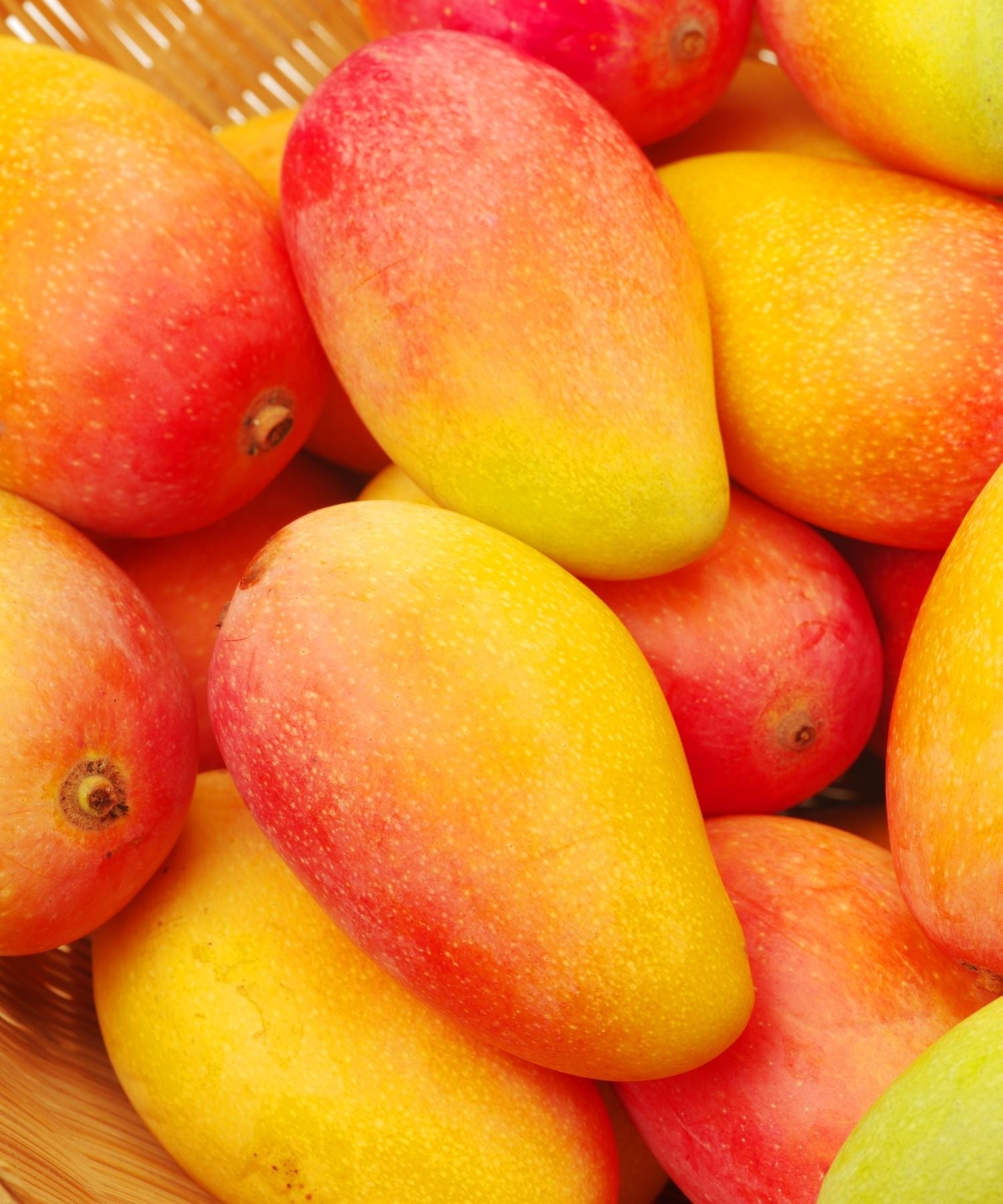 bunch of mangoes