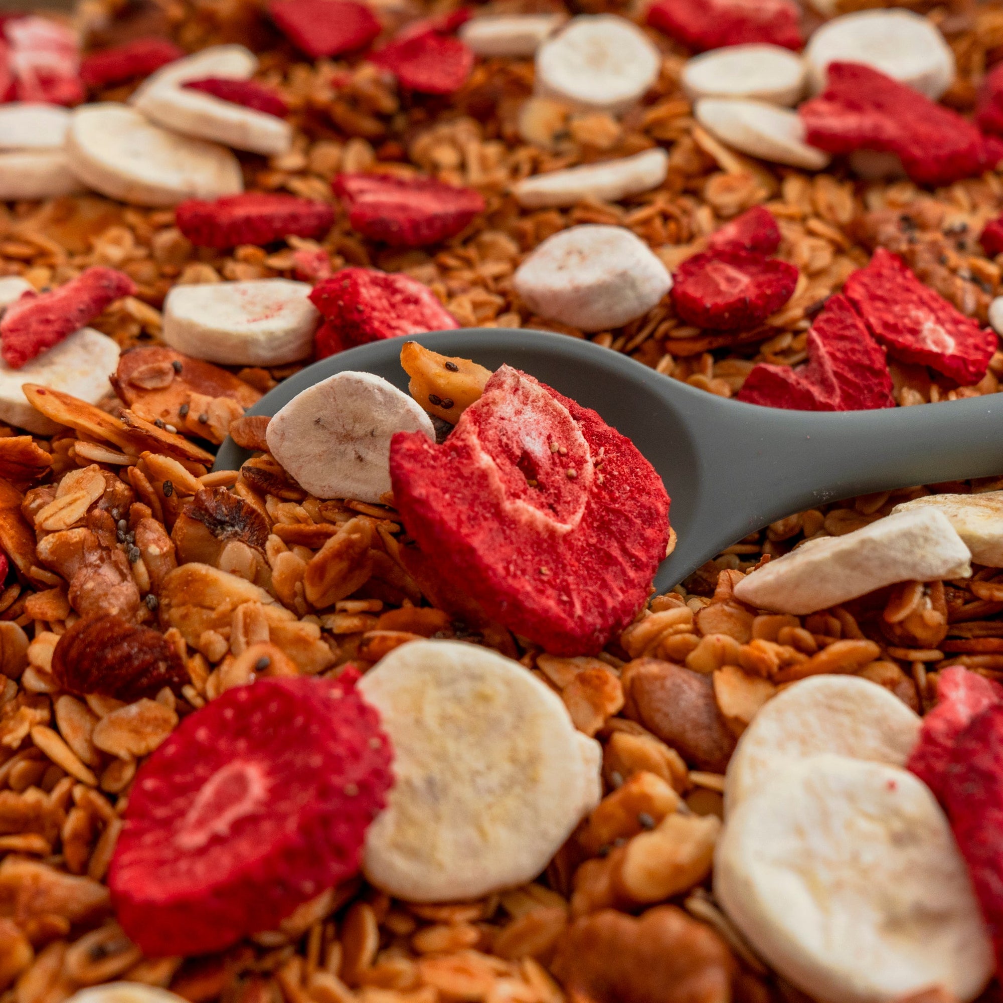 Granola with Natierra Freeze-Dried Fruit
