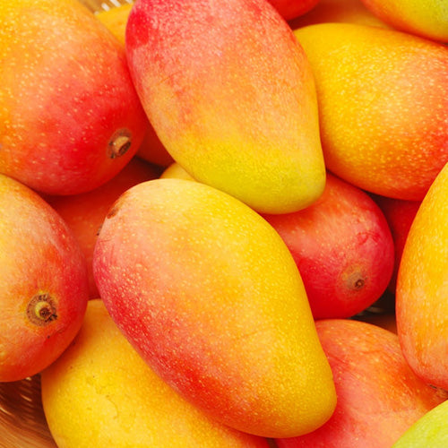 bunch of mangoes